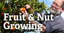fruitandnut