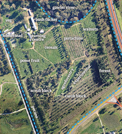 aerial layout