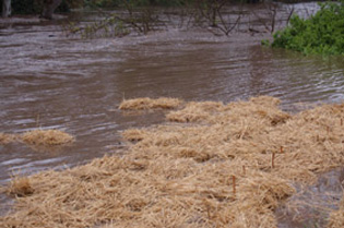 mulch floating away