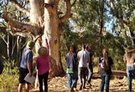 people-under-tree.jpg