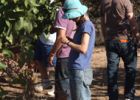 Open Day - Permaculture 'Walk and Talk'